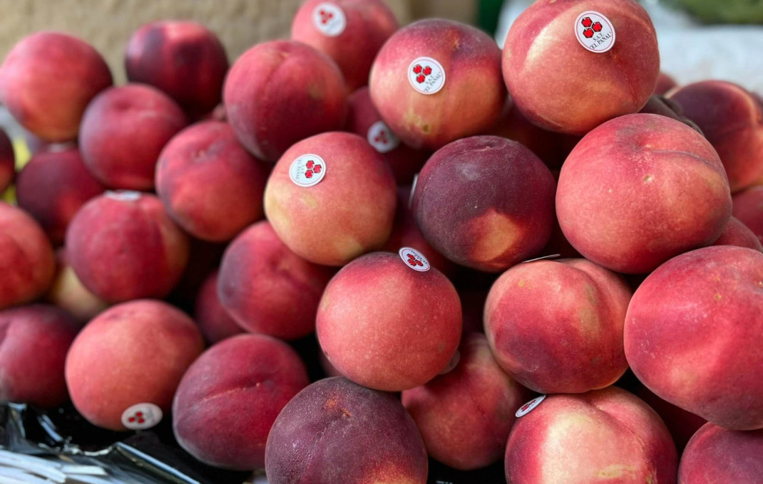 Traspaso - Frutería -
Barcelona - Sants