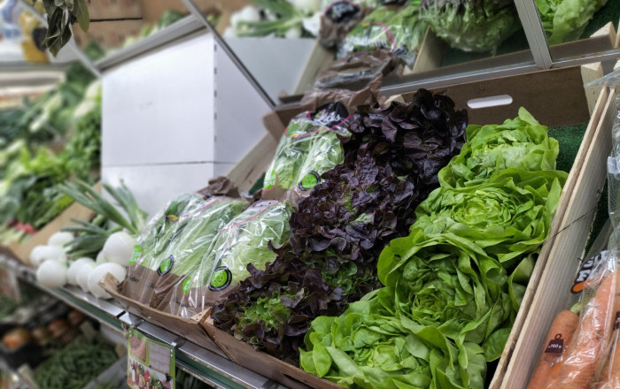 Transfer - Frutería -
Barcelona - Sants