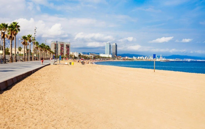 Traspaso - Tienda Alimentacion  -
Barcelona - Barceloneta