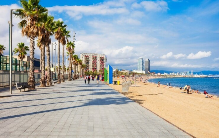 Traspaso - Tienda Alimentacion  -
Barcelona - Barceloneta