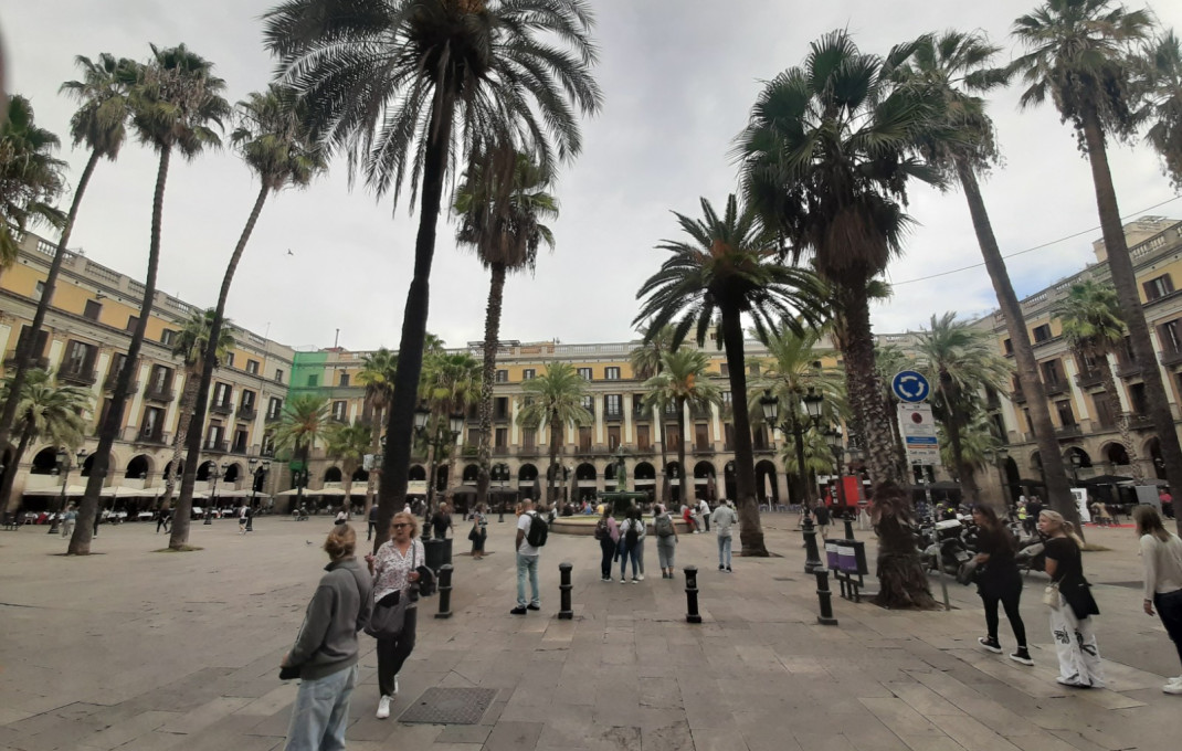 Transfer - Restaurant -
Barcelona - Ciutat Vella