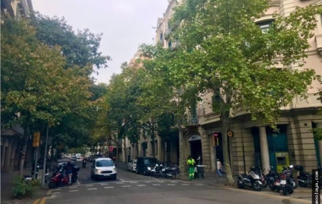 Transfer - Restaurant -
Barcelona - Eixample Izquierdo