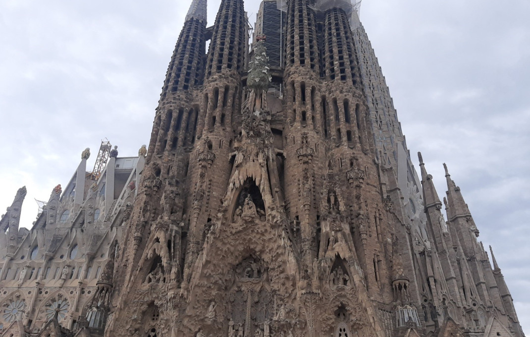 Transfer - Licencia C2 -
Barcelona - Sagrada familia