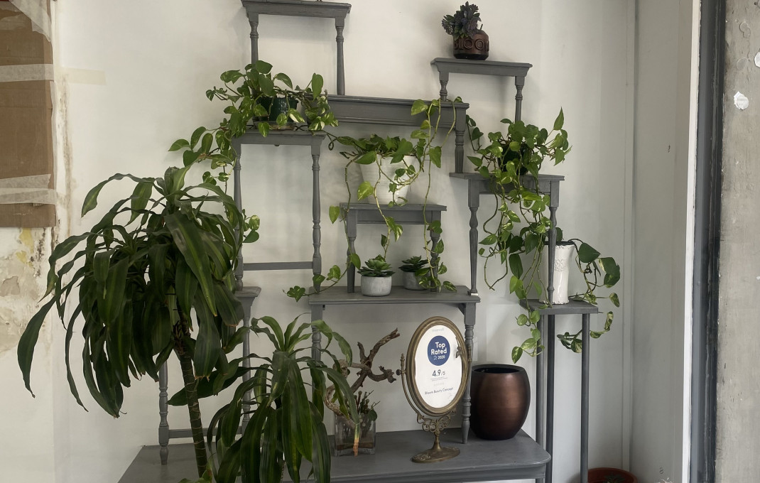 Transfer - Peluquerias y Estetica -
Barcelona - Sant Gervaci