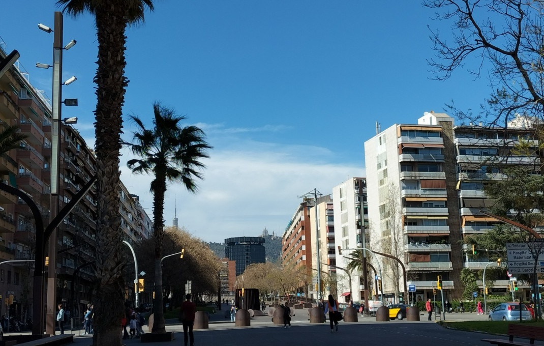 Alquiler - Local comercial -
Barcelona - Sants